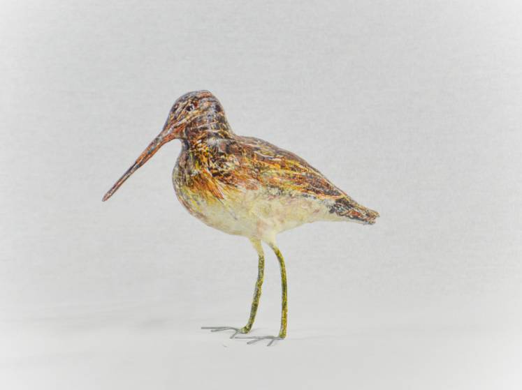 Sculpture 11 - Baie de Somme